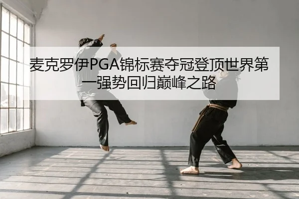 麦克罗伊PGA锦标赛夺冠登顶世界第一强势回归巅峰之路